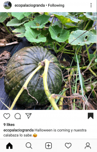 Ecopalaciogranda Instagram